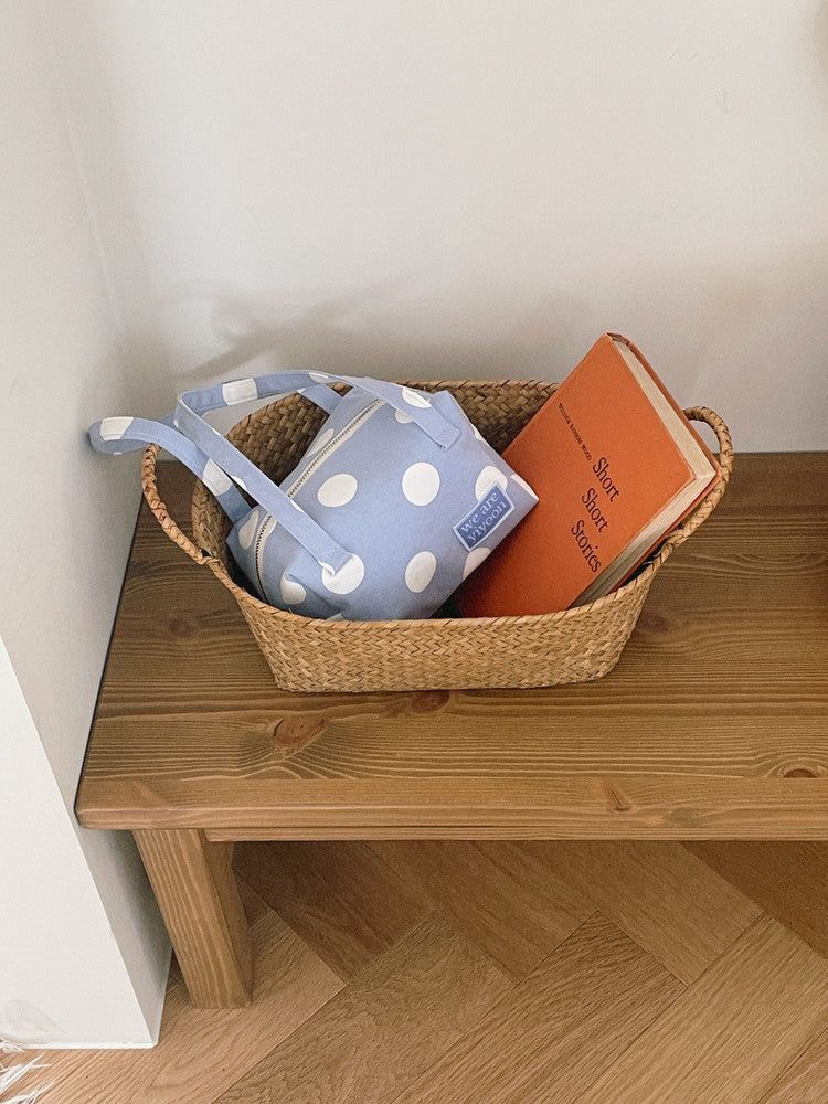 Handy pouch (babyblue dot)