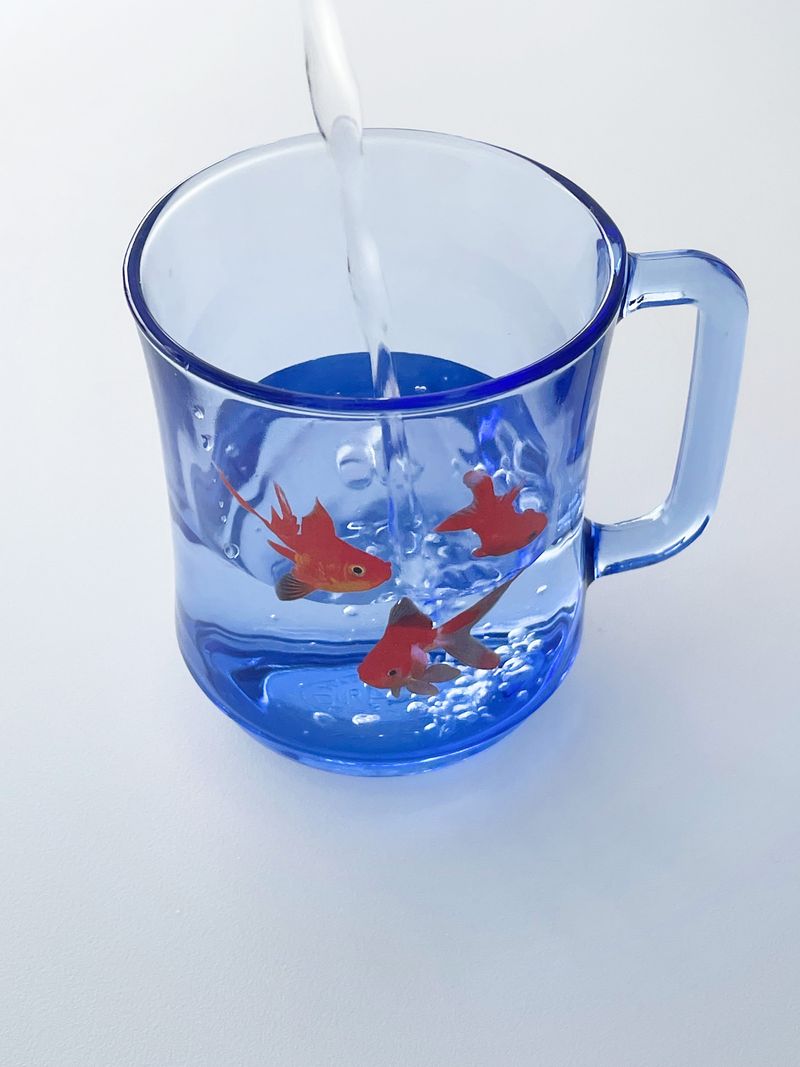 [MADE] fish cup (orange)
