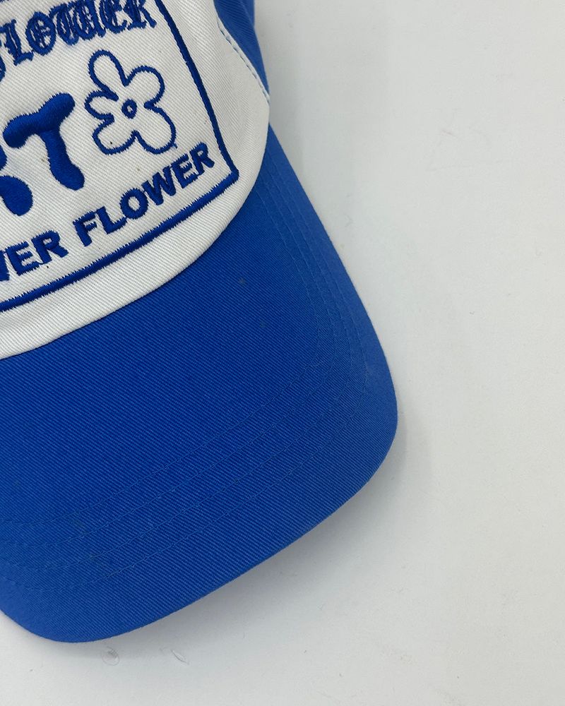 Artist Blue Colored Ball Cap