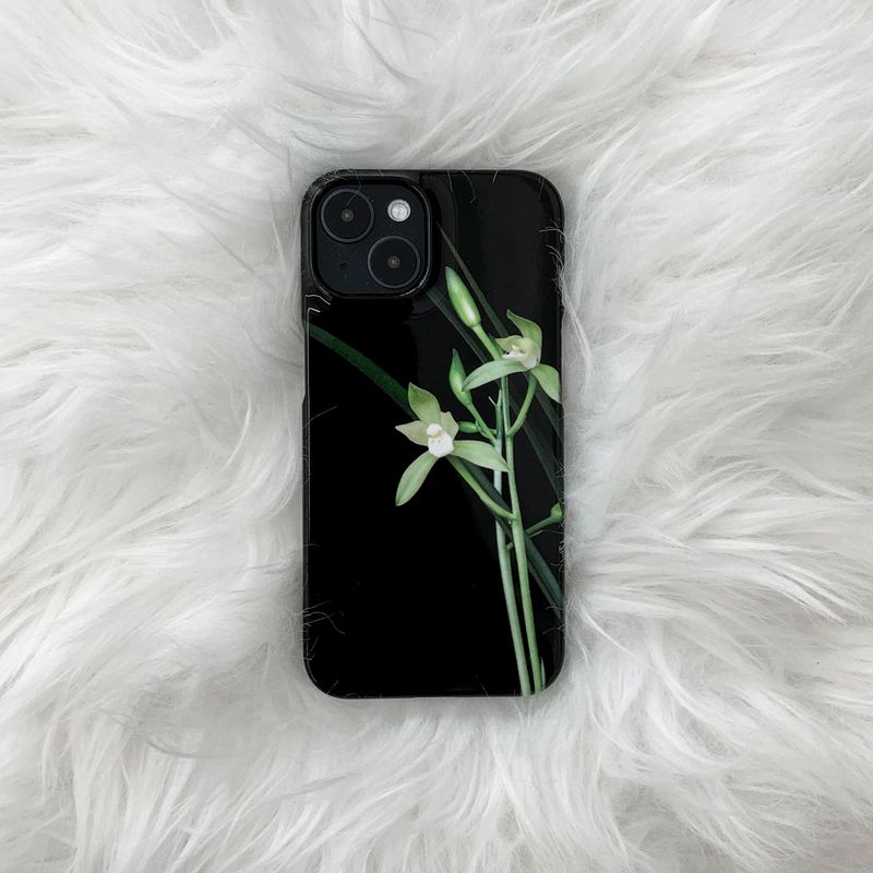 Ran (glossy hard case)