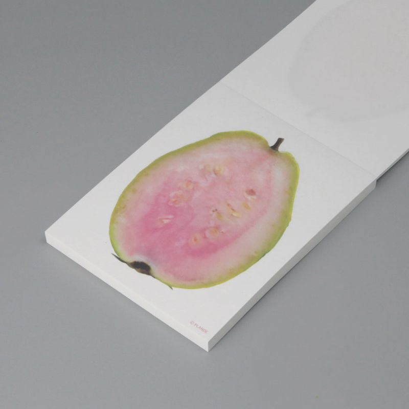 objet memo vol.6-fruit SET