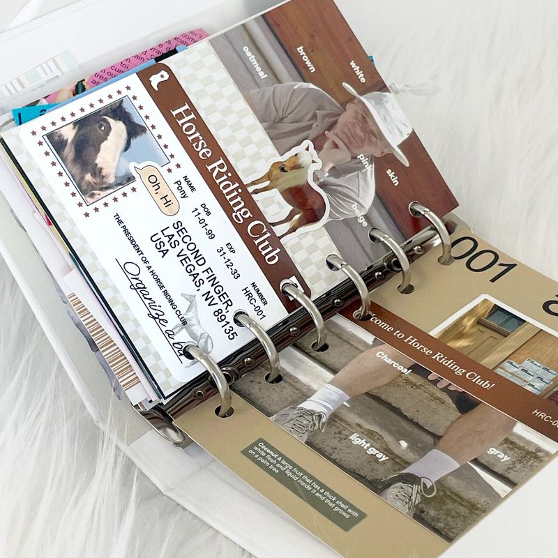 oab id card pack / identification card set