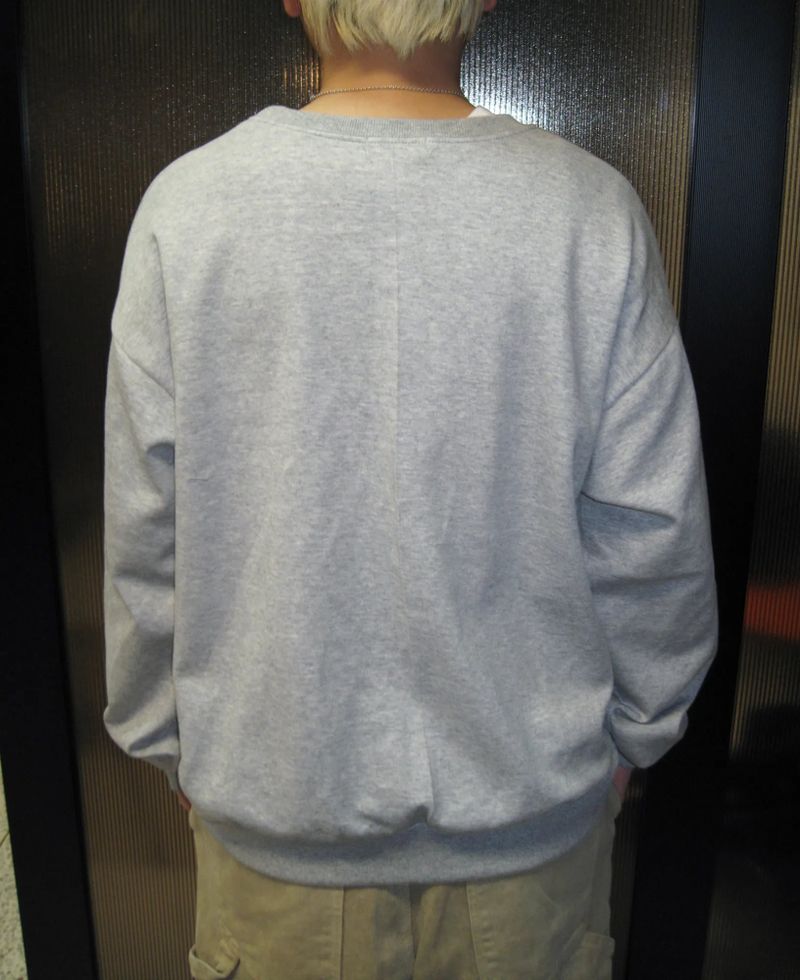550 Light Sweatshirt(3c)