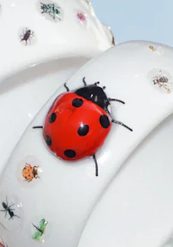 SPECIAL# SUMMER GARDEN BANGLE (Frog/Ladybug)