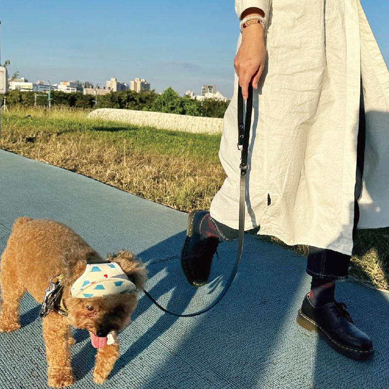Genuine leather pet leash