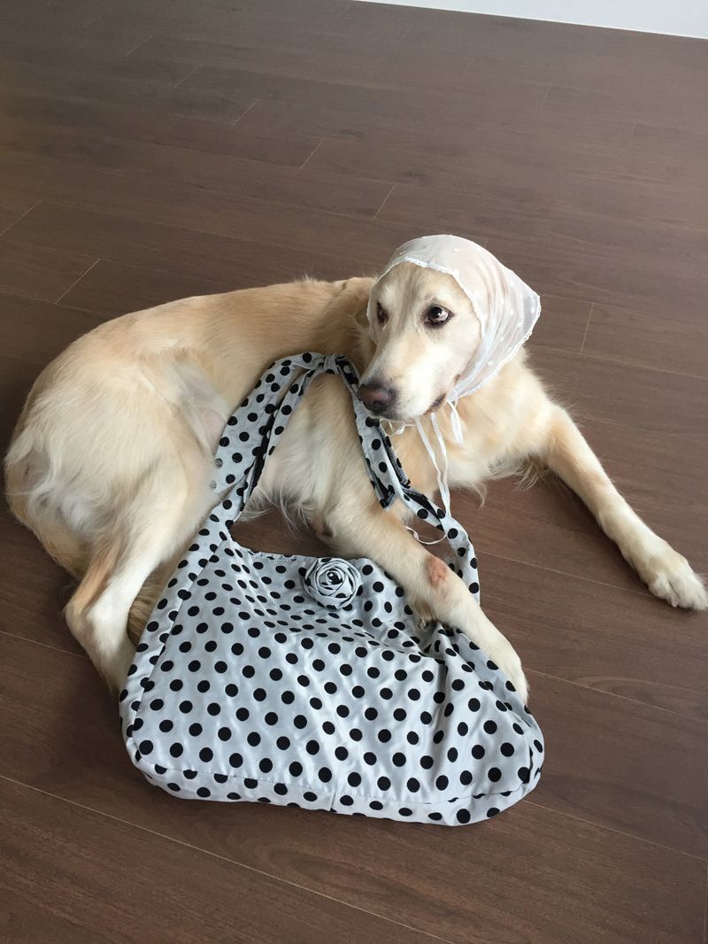 Corsage Dot Shoulder Bag (2color)