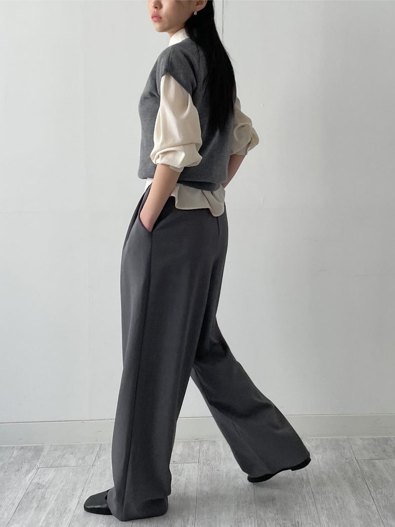 Amy Two Tuck Wide Slacks