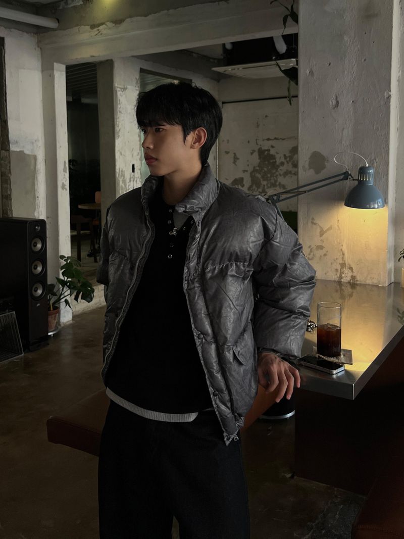 Cracked Nuptse Metallic Short Puffer Jacket