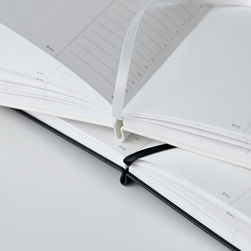 2025 6month daily diary
