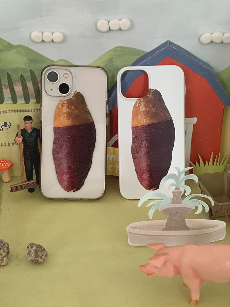 Sweet potato case - Matt hard