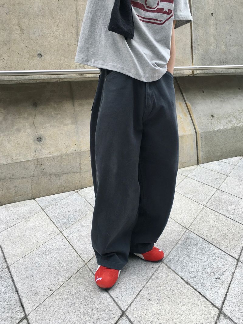 DISCERNMENT（ディサーンメント）の「Neo Standard Cotton Wide Pants 4C（Pants）」