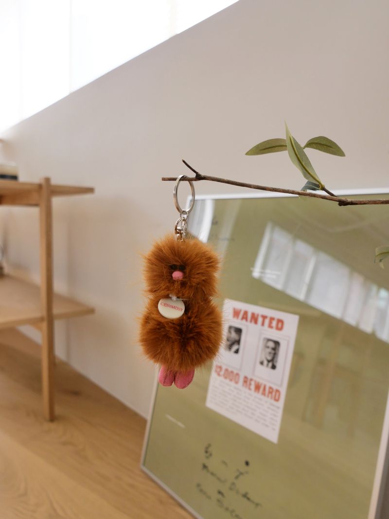 Cosymosy Mini Bird Keyring - Choco