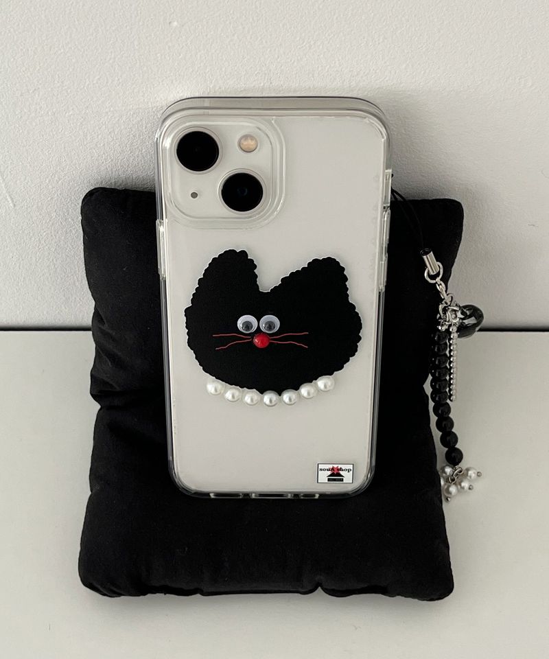 black cat case
