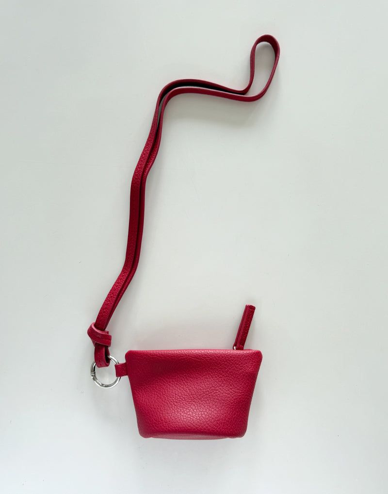 coin bag