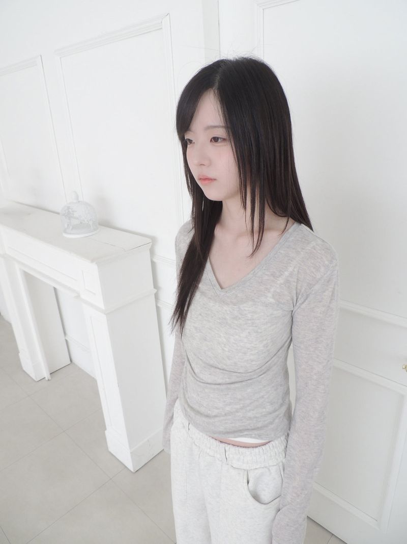 sheer v-neck tee (4c)