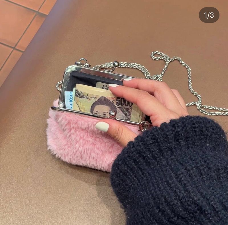 wallet bag