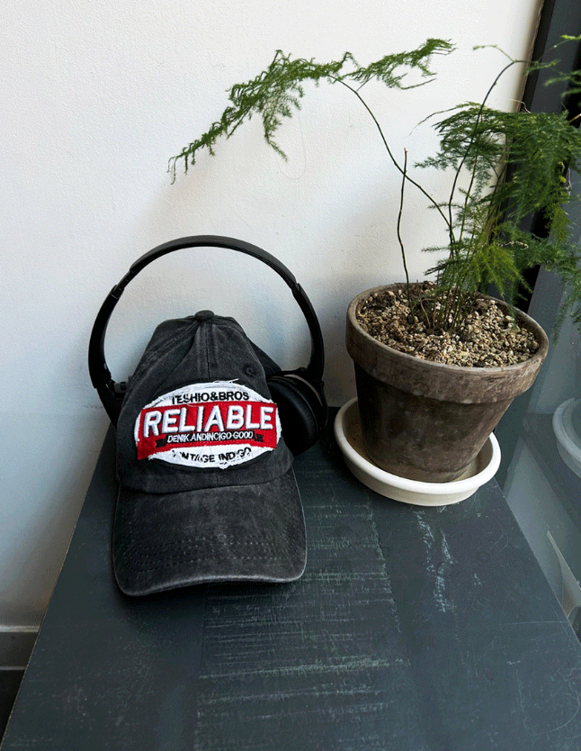Pig Able Ball Cap