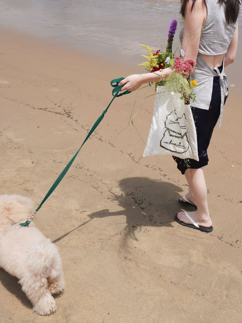 Fabric Shopping Bag - 2 Type