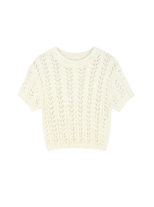 Sheer Crop Knit Top (IVORY)
