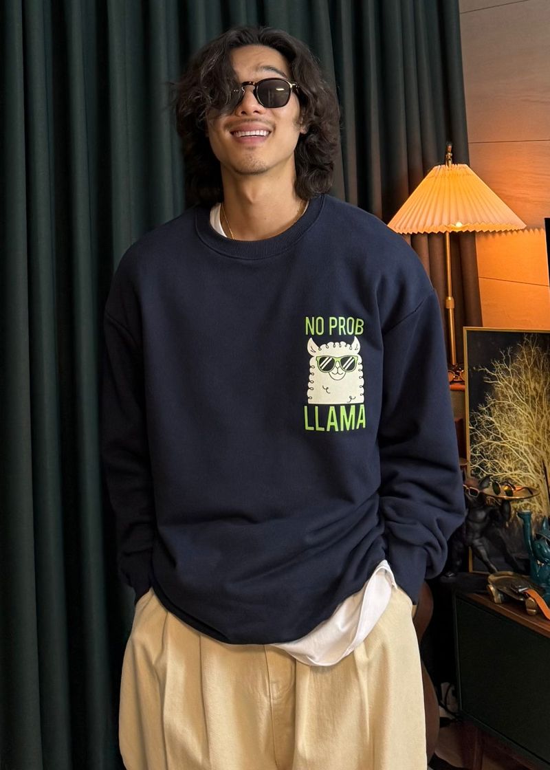 Couple Lama Character Sweatshirt 3COLOR