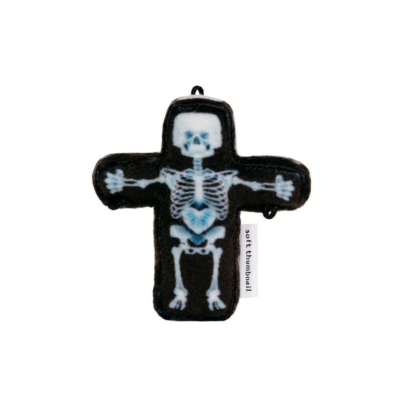 X-ray Human, Pixel Man