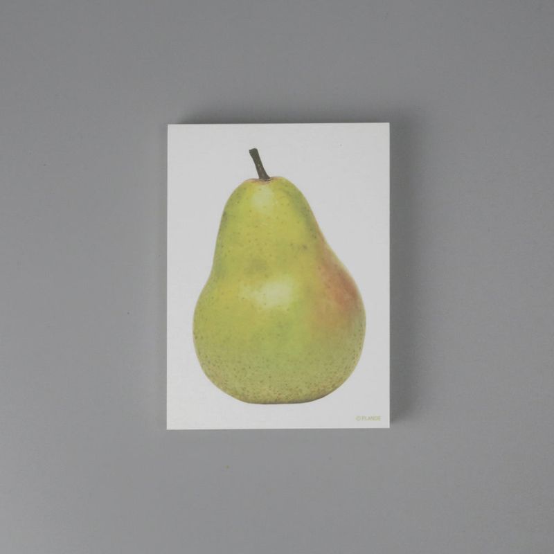 objet memo vol.6-fruit SET
