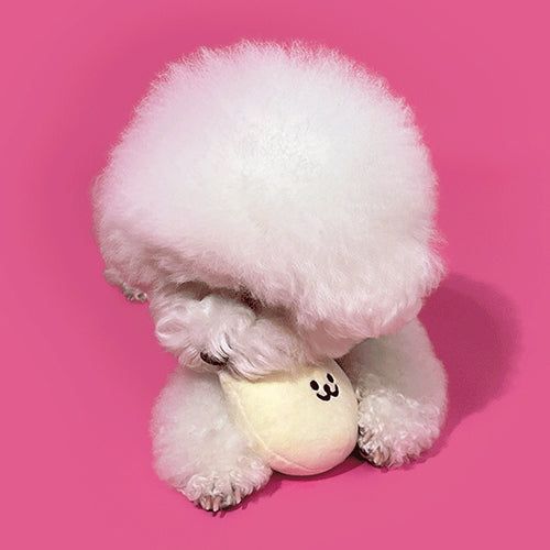 168cm（168センチ）の「Pet Toy Gomzzi（Miscellaneous Goods/Stationery）」