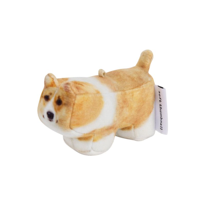 Moongchi, Welsh Corgi