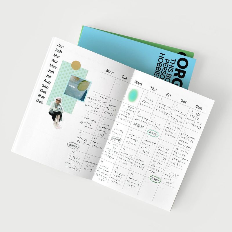 oab organize diary ver4 / soft cover
