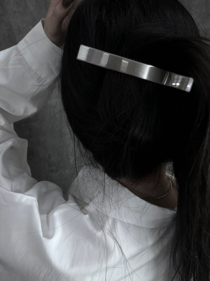 matte stainless steel clip