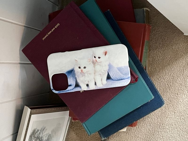 [purple kitties hard case]