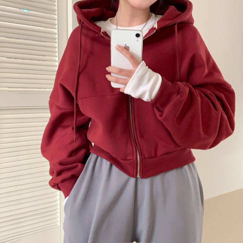 [Bellide made] embroidery napping hood zip-up