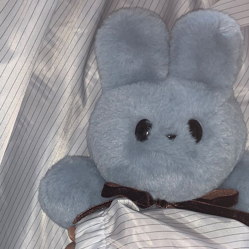 Bunny Dungdung doll(gray blue)