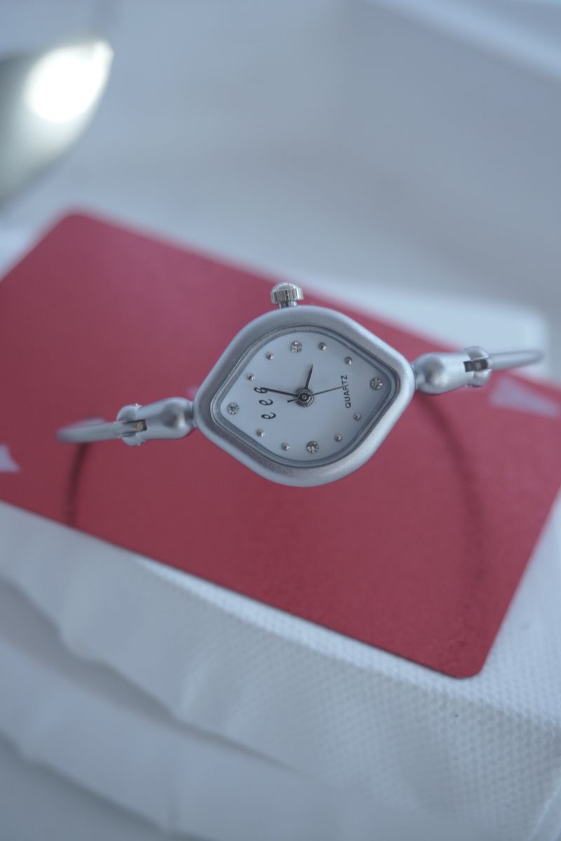 2 DIA WATCH