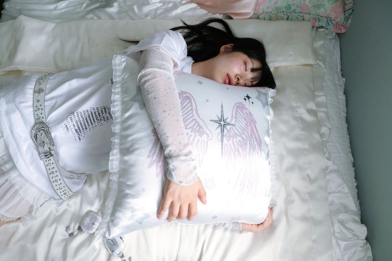 LFH Lost wings Cushion Cover (50x50)