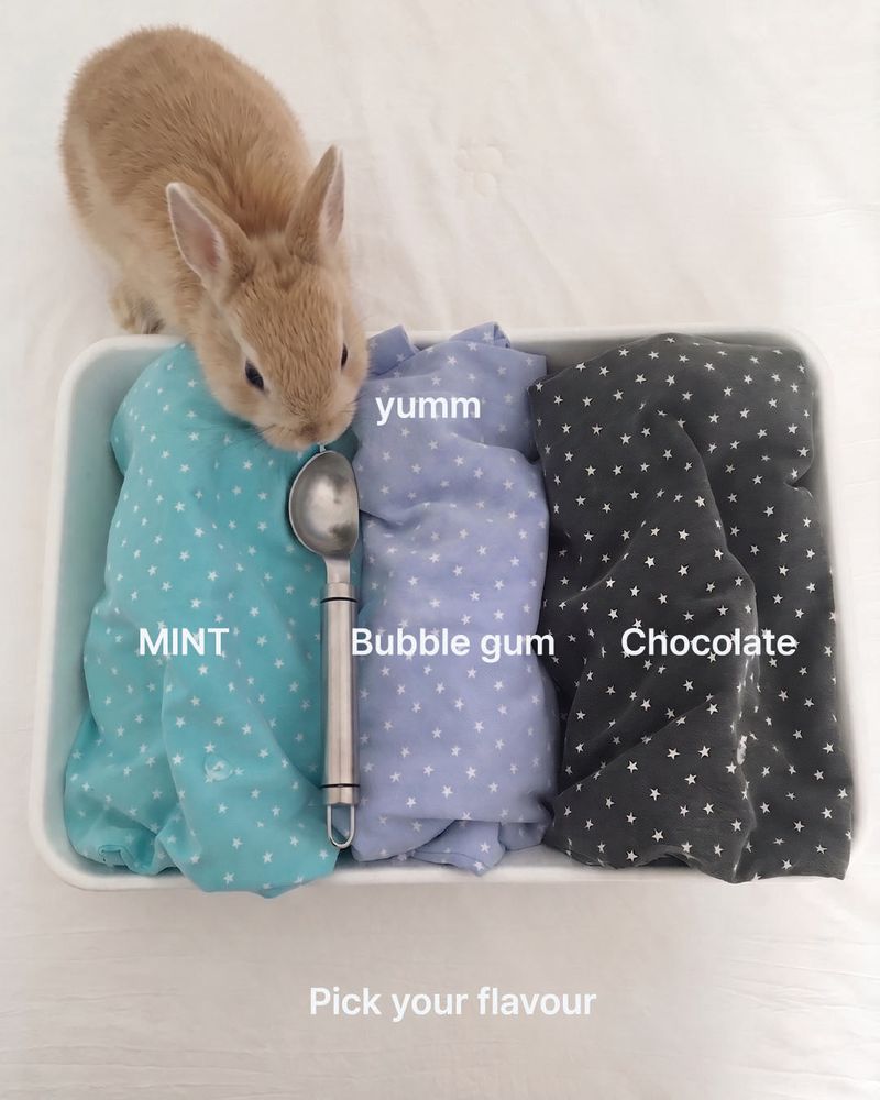 Star Bunny Tail Tote Bag _ Mint
