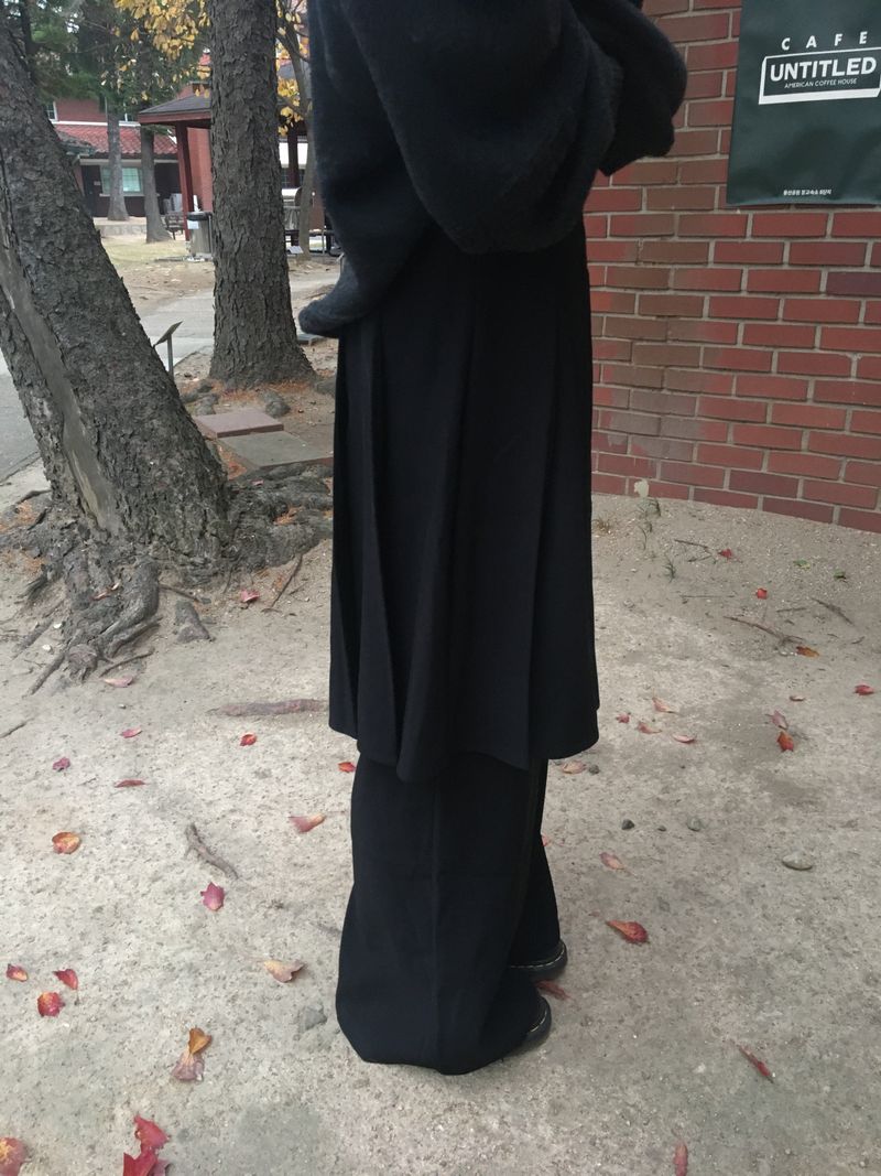 pleats skirt pants