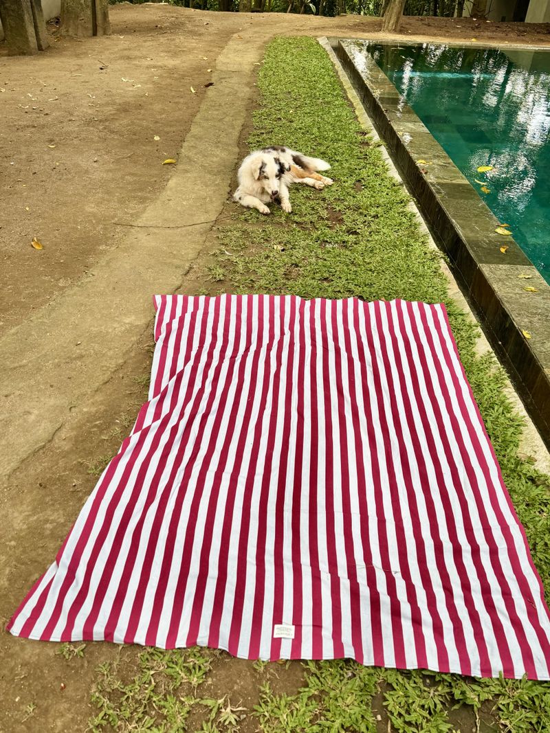 Nature Therapy Blanket & Mat