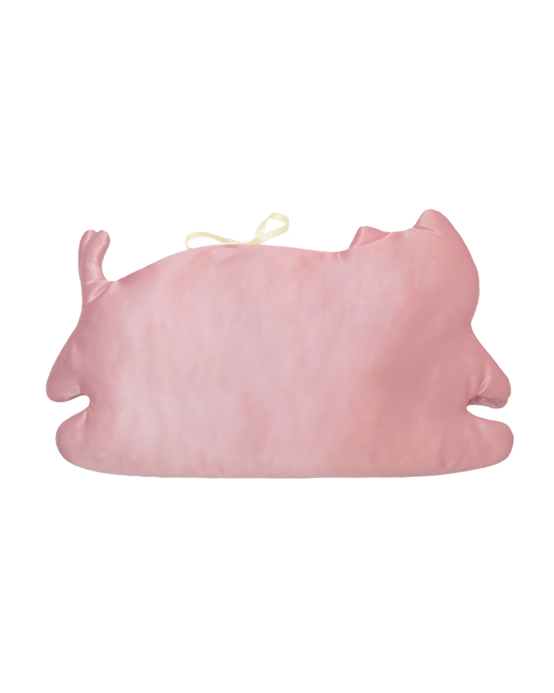 Cat book cover _ strawberry