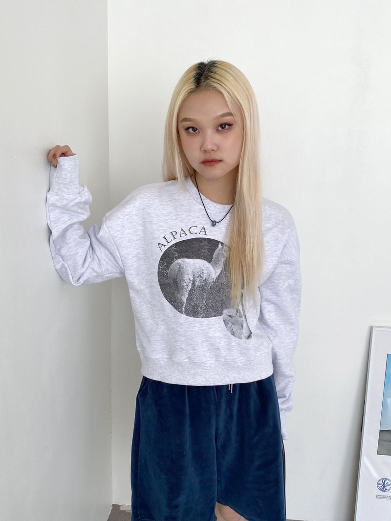 WONDER WONDER（ワンダーワンダー）の「[MADE] Neapoli Alpaca Live-action Printing Crop Sweatshirt（Tops）」