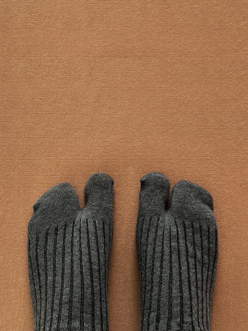 Rose Tabi Socks Long