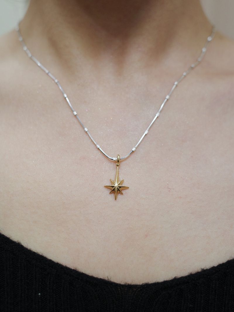 Polaris Necklace - Combi