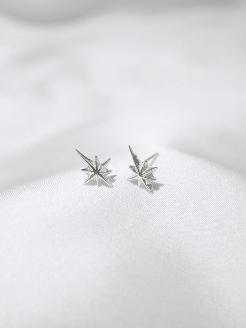 Polaris Earrings - Silver