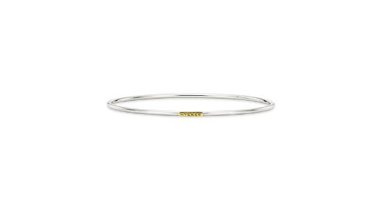 26SS★ [Premium Plating] H Edition AB(W) Single Slip Bangle