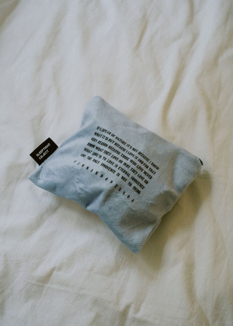 LNL pessoa pouch (4 color)