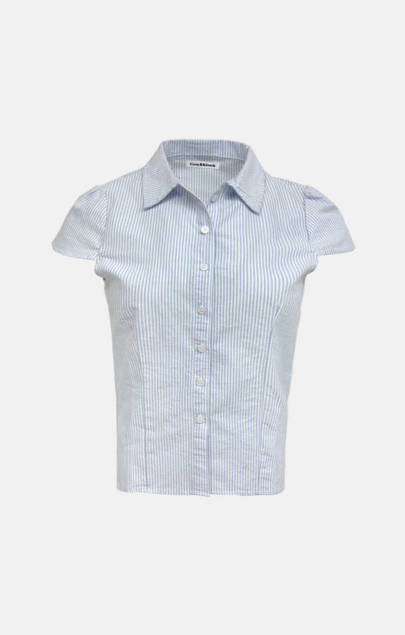 Erin Stripe Pintuck Shirt