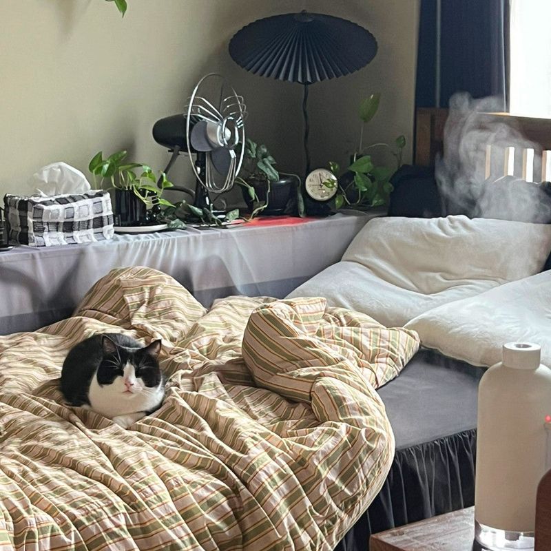woody green stripe duvet cover (SS/160x210cm)