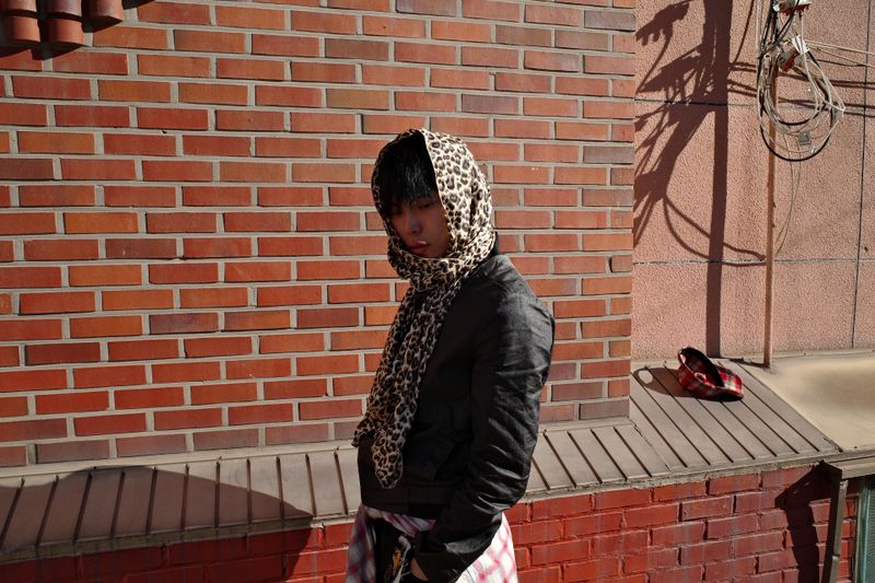 Chiffon Leopard scarf