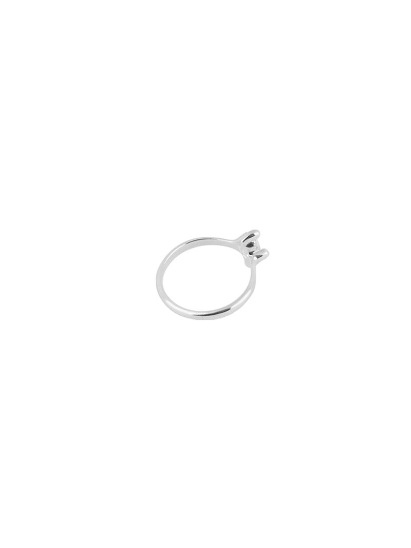 PROT RING (SILVER)