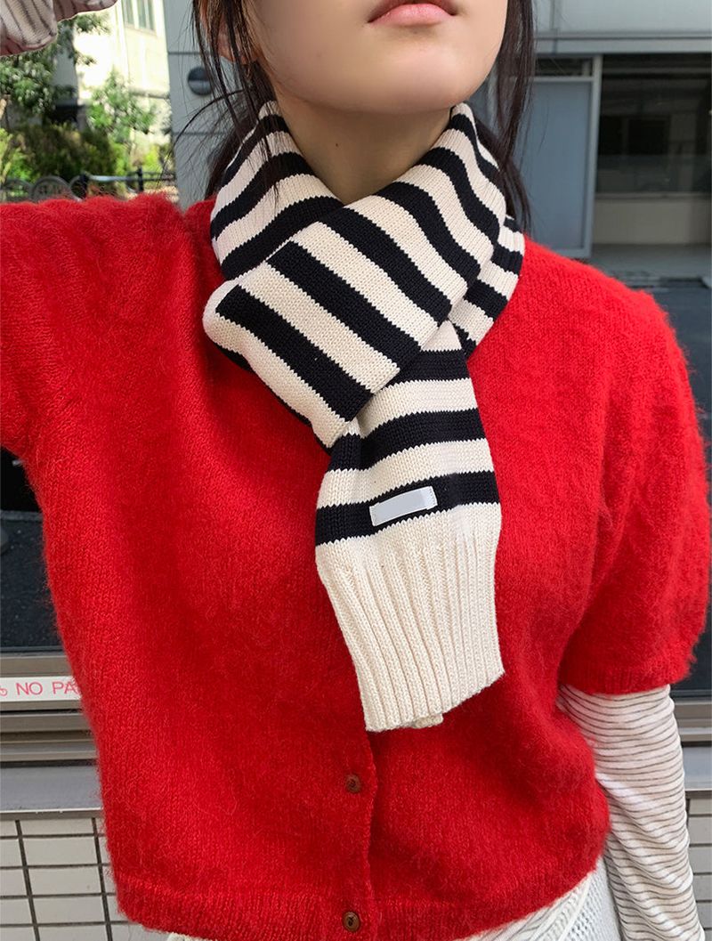 KNIT STRIPE MUFFLER (2C)